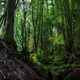 Illustration for article titled Synthetic animals will save the planet